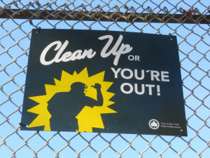 Clean Up or You're Out! :Brooklyn Street Sign