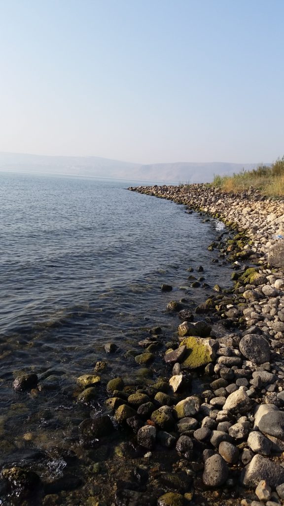 The edge of the Sea of Galilee